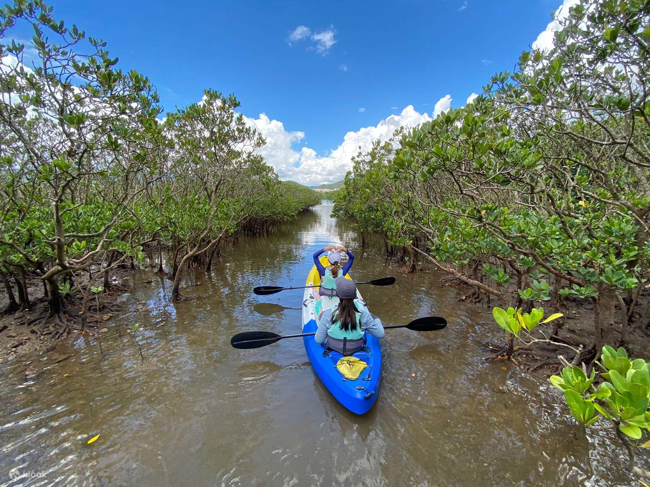 Exploration écologique marine - Balade dans la mangrove de Ting Kok et le géoparc de Ma Shi Chau
